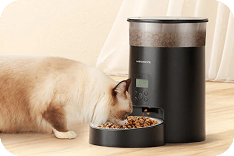 Automatic Cat Feeder